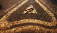 trinalor caterpillar PR image 
