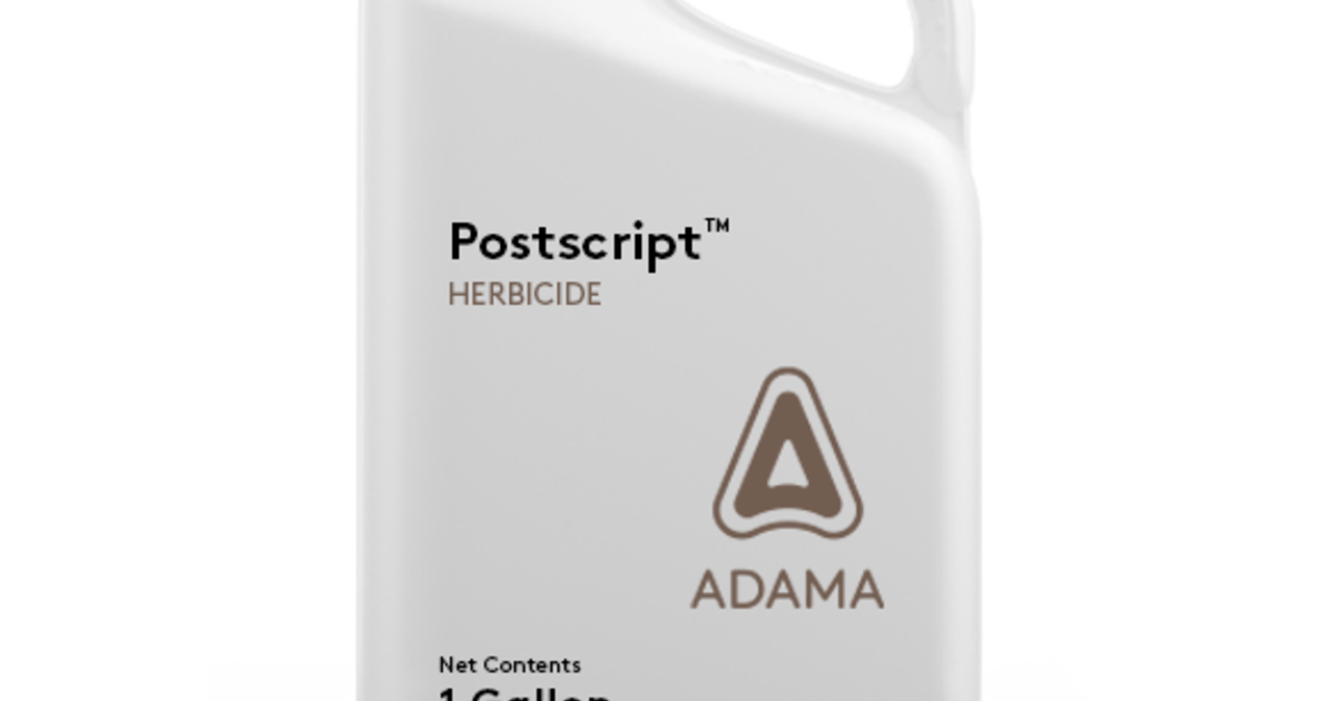 Postscript™ ADAMA