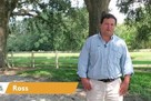 ross thibodeaux