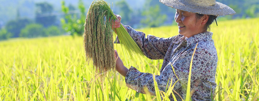 Tập đoàn ADAMA