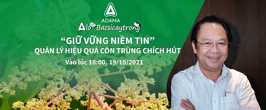 Alobacsicaytrong