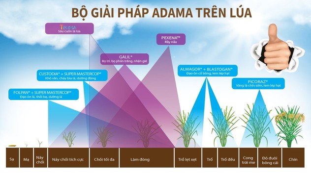 Bộ giải pháp ADAMA trên lúa