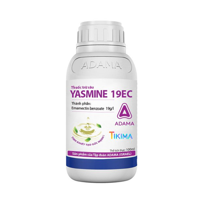 Yasmine 19EC