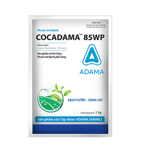 Cocadama 85WP