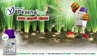 UTF-8''H%C3%ACnh%20pexena.jpg