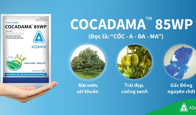 Cocadama 85WP