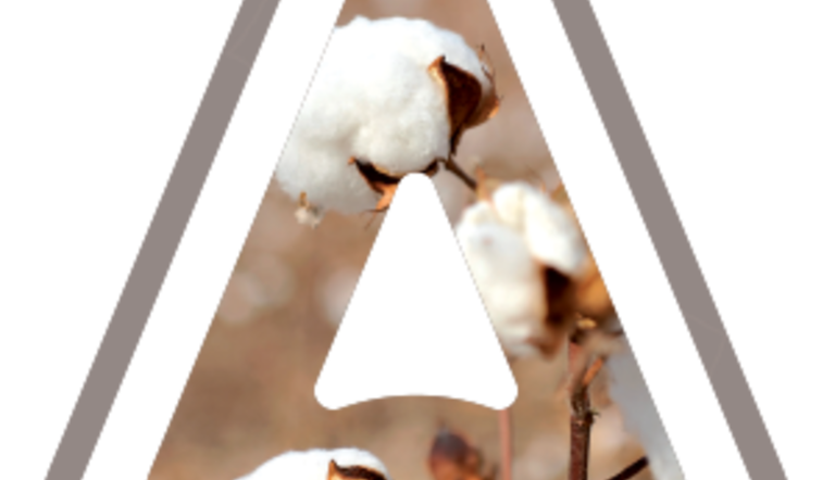 Cotton