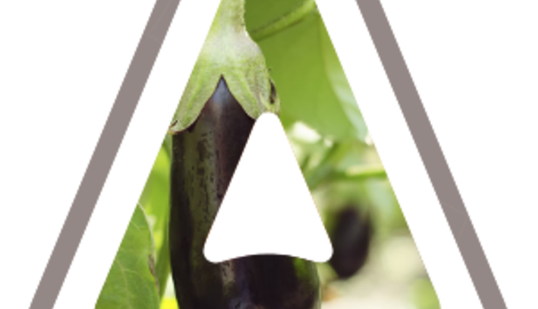 Eggplant