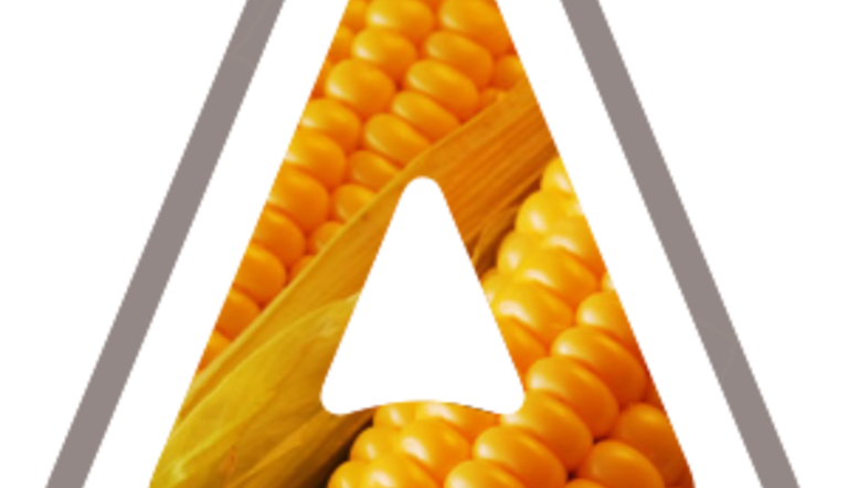 Maize