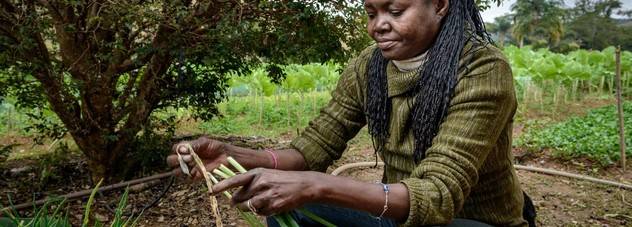 farmer