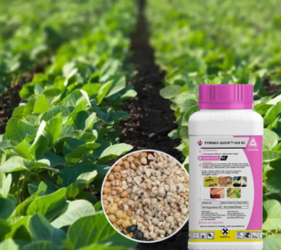 Pyrinex Quick is a fast-acting insecticide that control insects quick