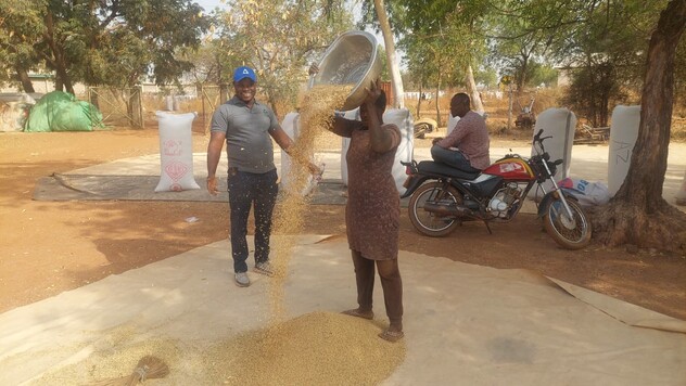 A happy rice farmer with bountiful harvest, after Flitzer application