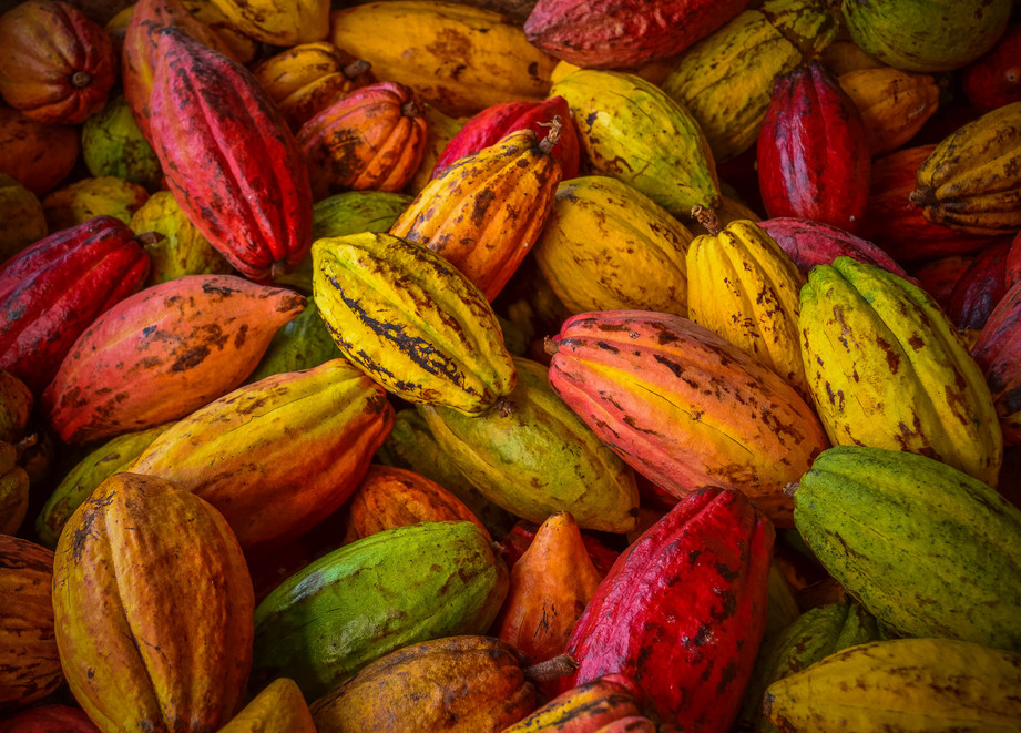 cocoas
