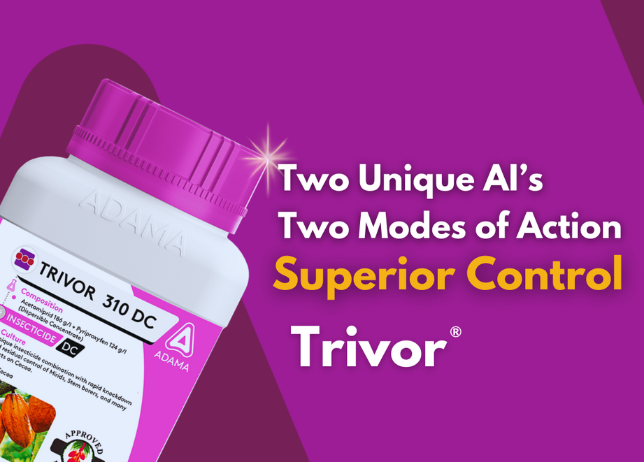 Trivor- cocoa insecticide