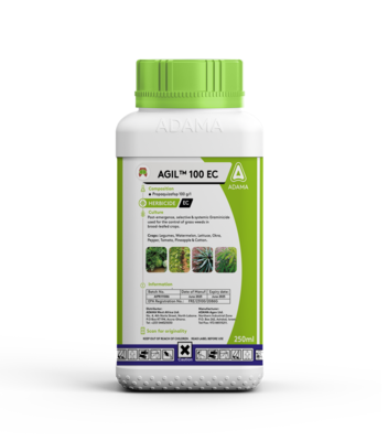 Agil®100 EC Herbicide controls grass weeds in legumes and vegetable field