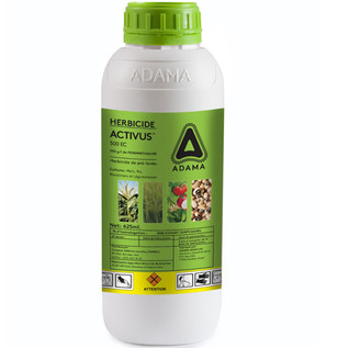 ACTIVUS