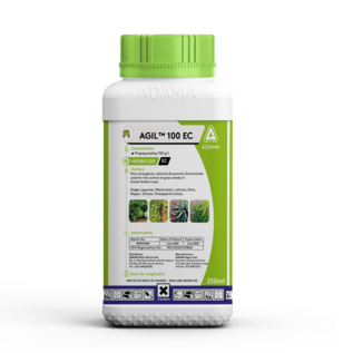 Agil®100 EC Herbicide controls grass weeds in legumes and vegetable field