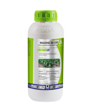 Maizine is a unique herbicide that controls wide range of weeds in Maize field