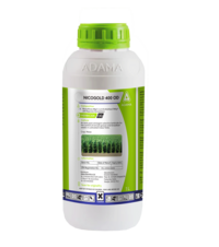 Herbicide-Nicogold controls grasses and broadleaf weeds in corn field