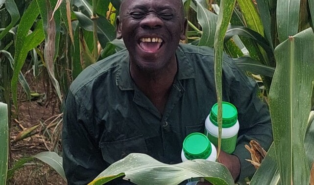 Maize farming made easy with ADAMA agrochemicals