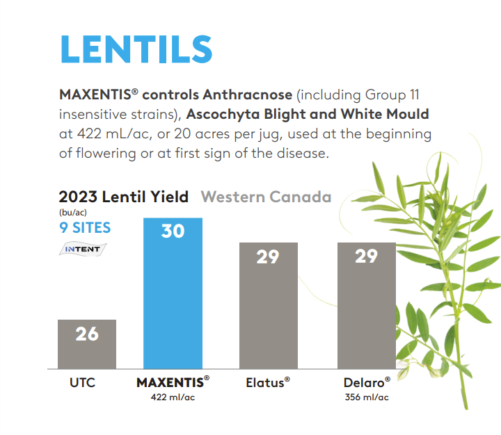 Yields Results for Lentils in 2023. For an accessible version of this graph, please contact ADAMA canada.