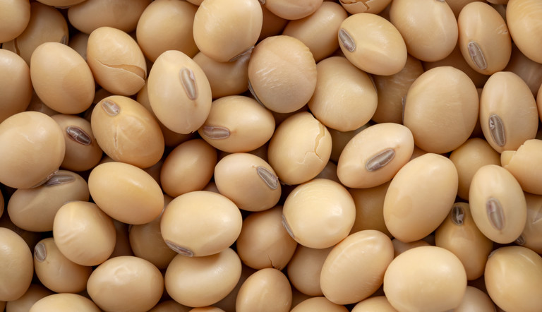 Soybeans