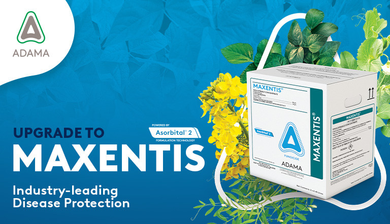 MAXENTIS Article Image