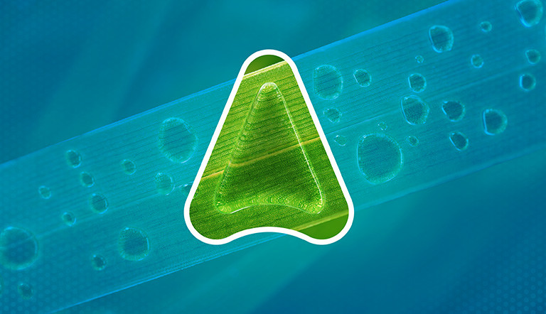 fungicide