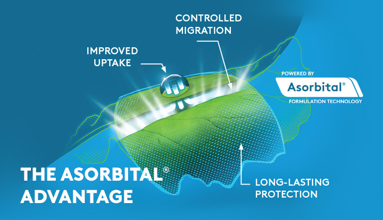 Asorbital Image
