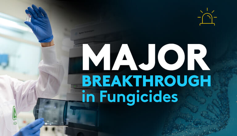 Major Breakthrough in Fungicides