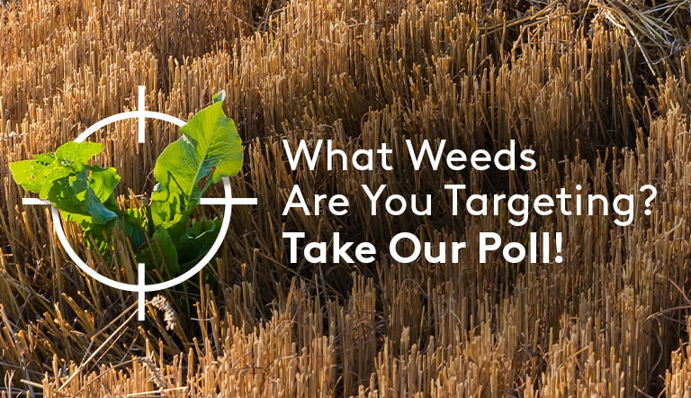 What weeds are you targeting? Take our Poll!