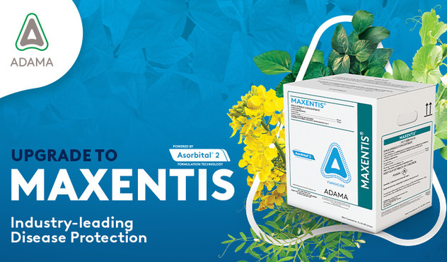 MAXENTIS Article Image
