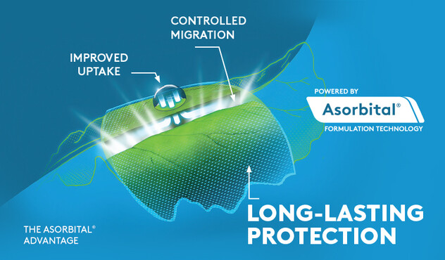 Canola leaf with asorbital logo and text 