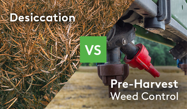 Desiccation-Vs-Pre-Harvest-Weed-Control.jpg