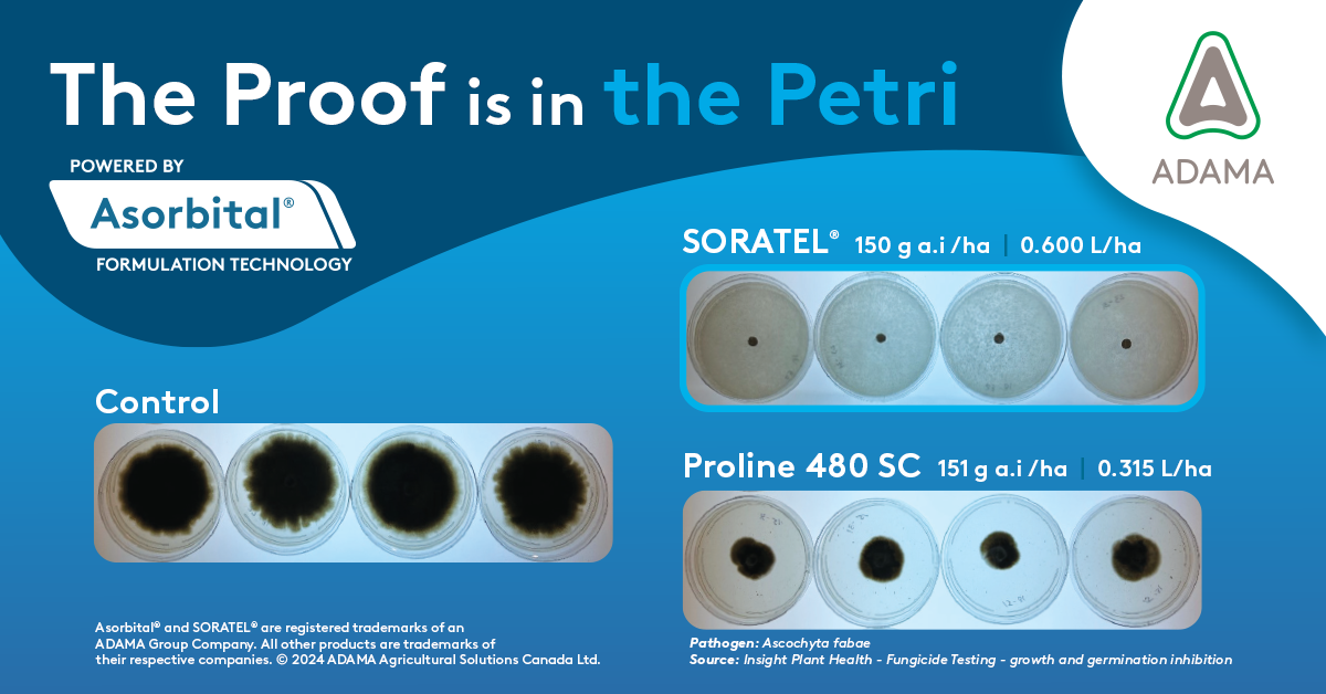 Petri dish comparison