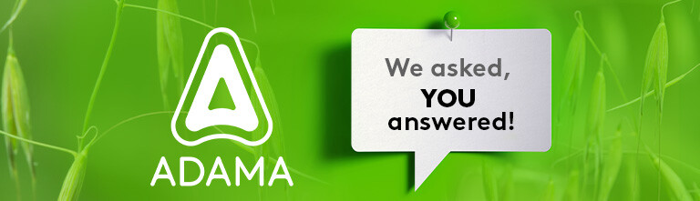 adama logo on green wild oats background