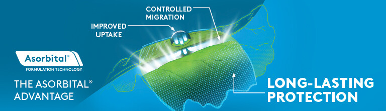 Asorbitol: long lasting protection.