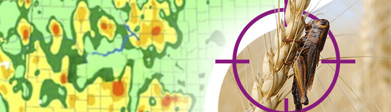 Grasshopper and heat map