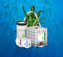 Oats Header Image