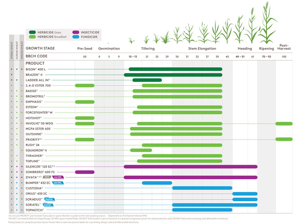 Wheat Growth Stage Chart
