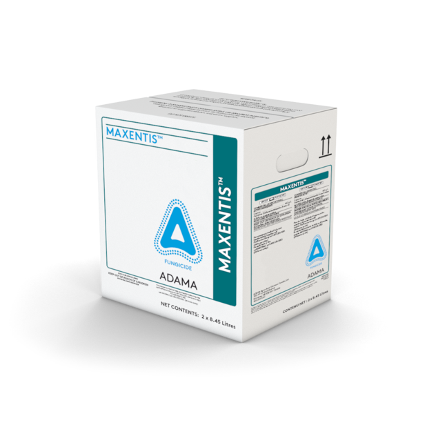 MAXENTIS Product Box