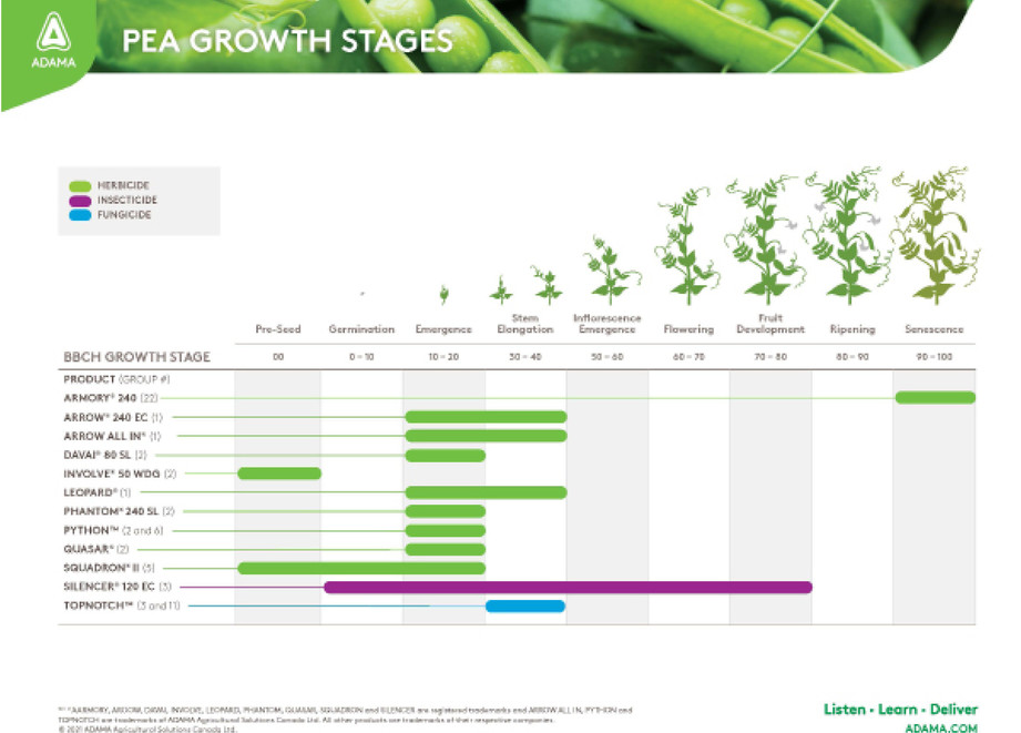 Pea Growth Stages