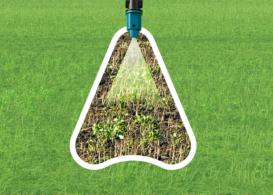 Post-Harvest Weed Control