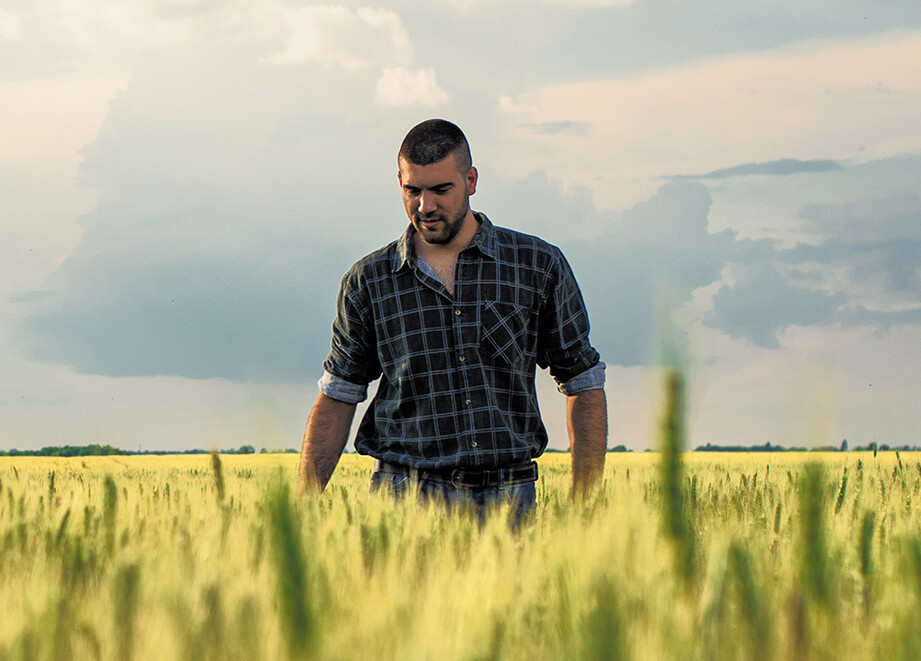 Man walking in wheat field