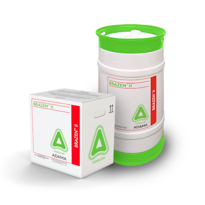 Product-Group_BRAZEN2