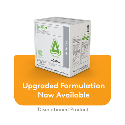 Rush-24-New-Formulation-Available