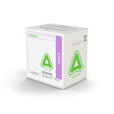 Product Box OXALIS