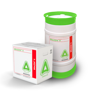 Product-Group_BRAZEN2