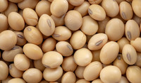 Soybeans