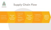 Supply Chain Flow